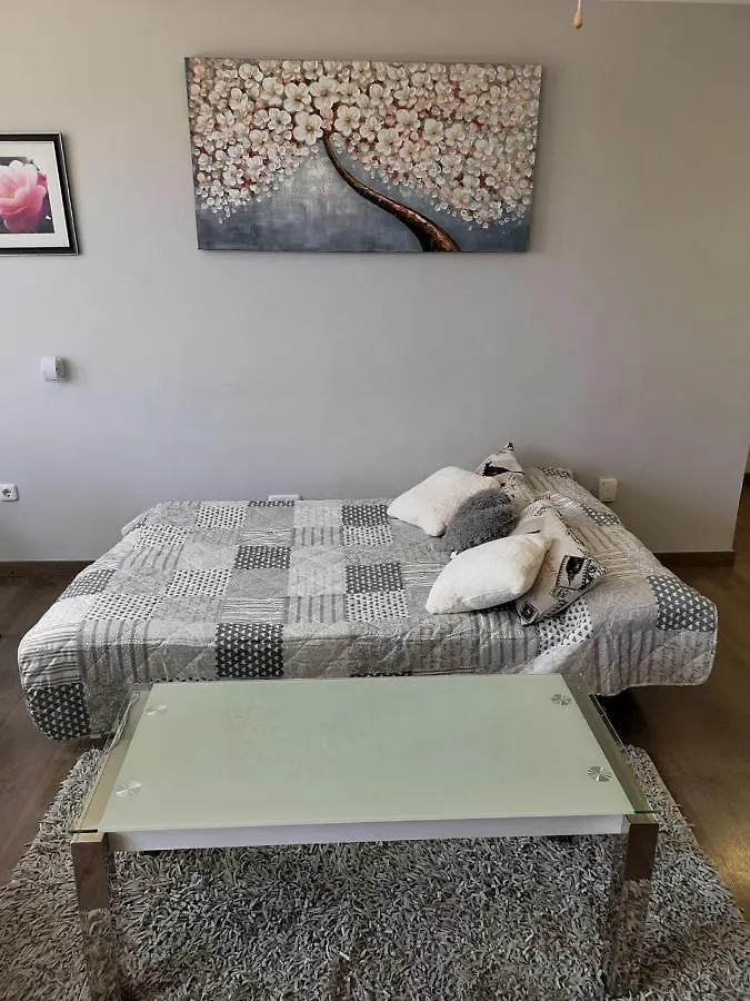 Geminis One Apartment Aguadulce  Spain